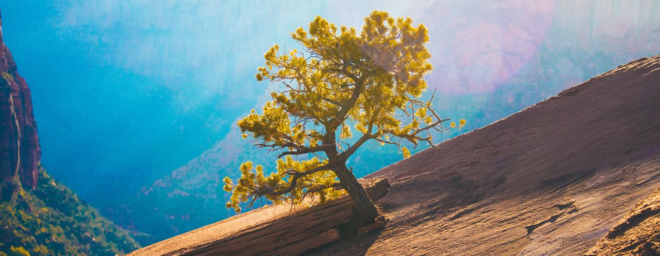 Adobestock 266053818